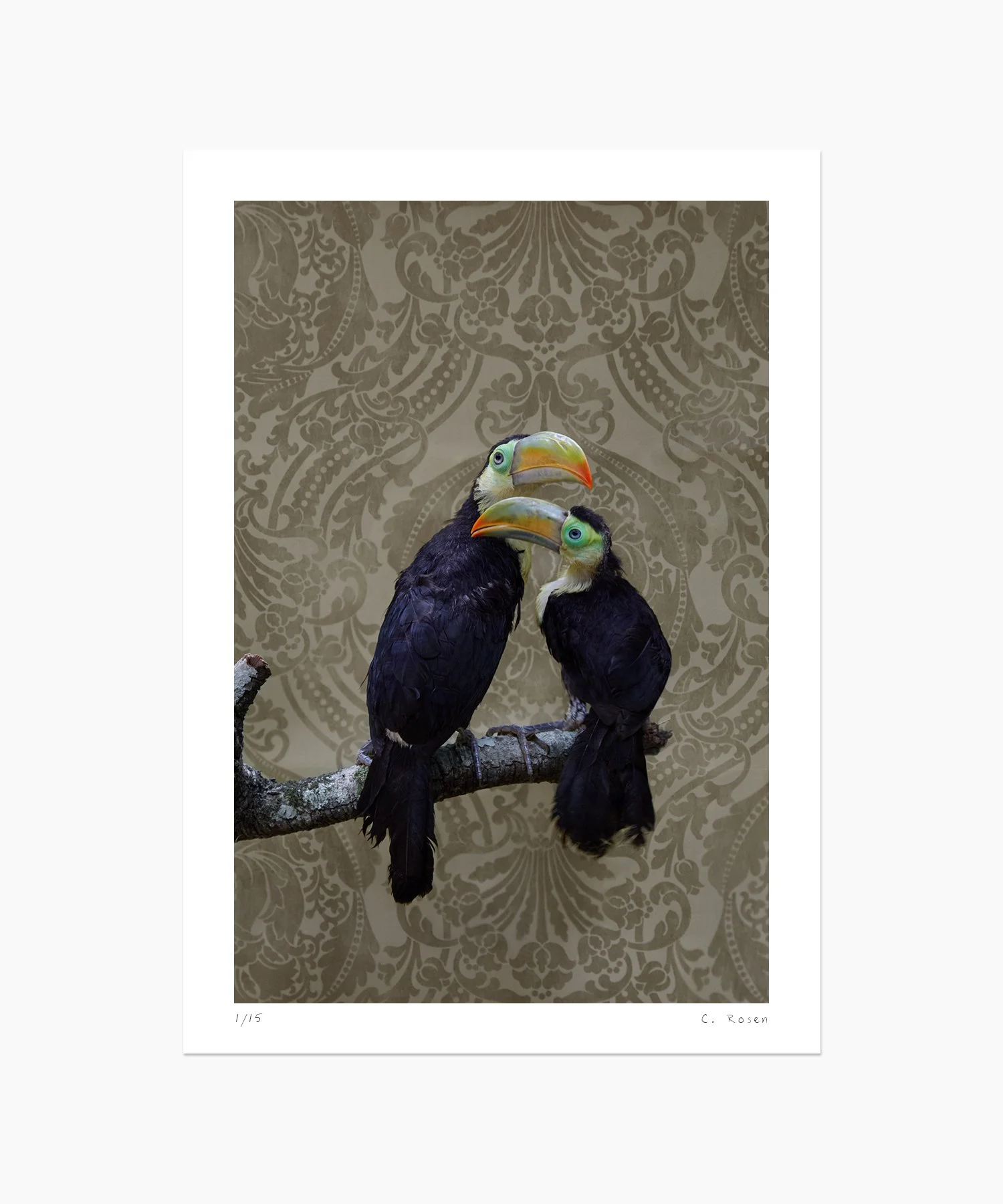 CR_webtemplate_BOF_7975_KeelBilledToucan_2014.jpg
