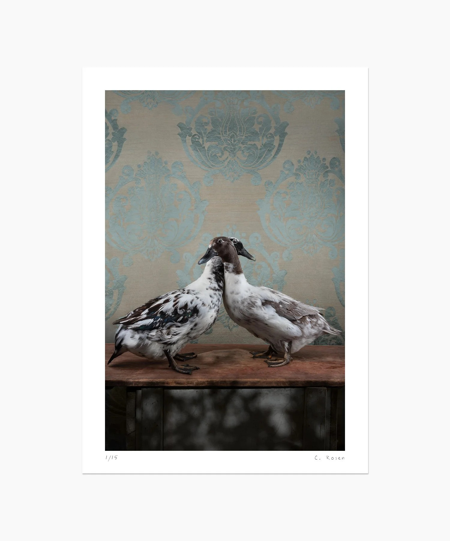 CR_webtemplate_FOW_0172_Ducks_2020.jpg