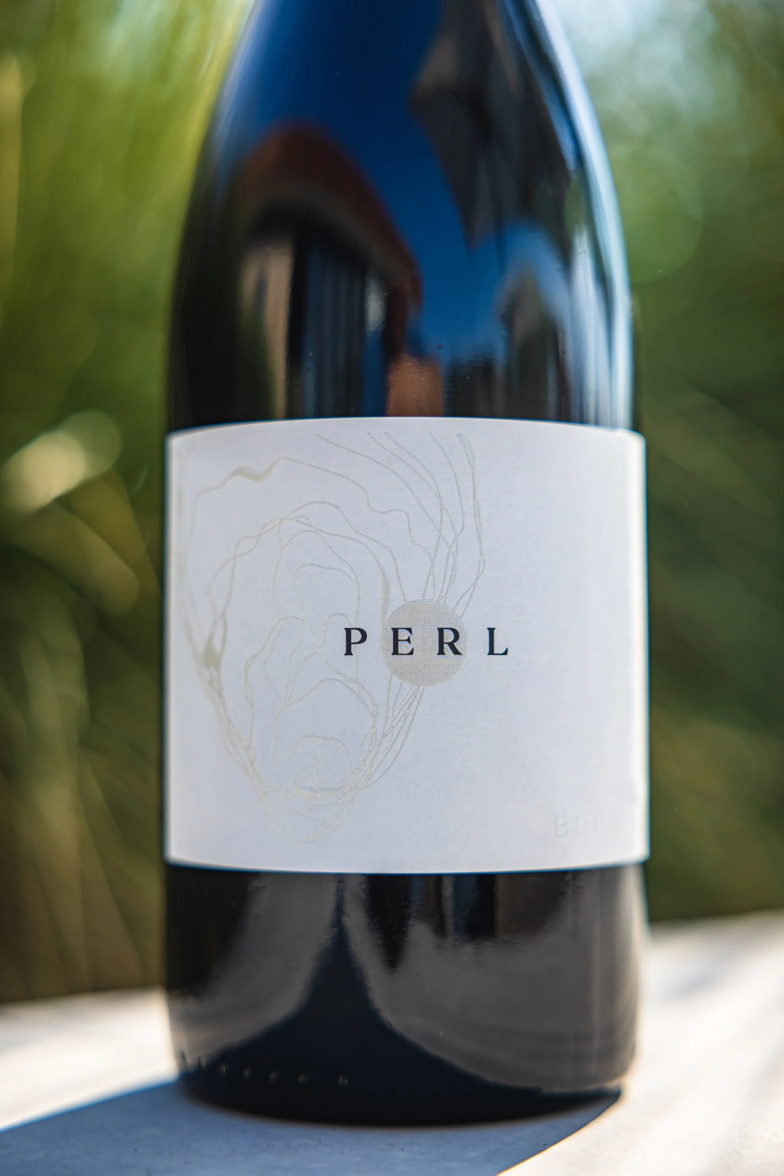 Booker 9-7-22-11.jpeg