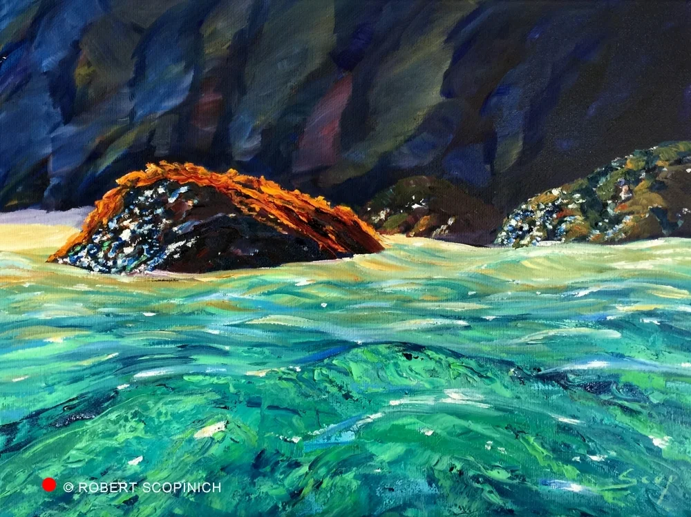 Kelp On The Rock