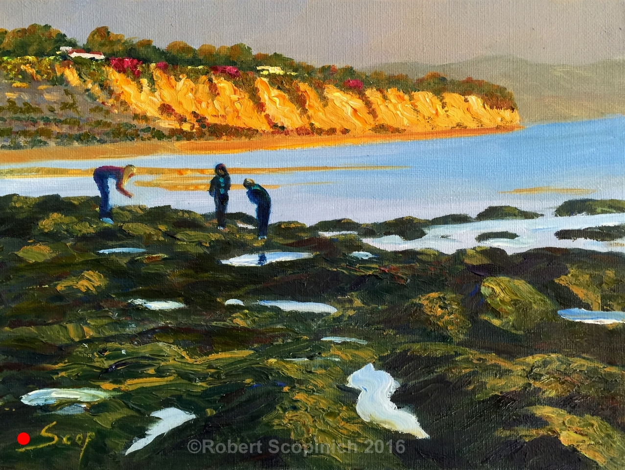 Tidepools 2