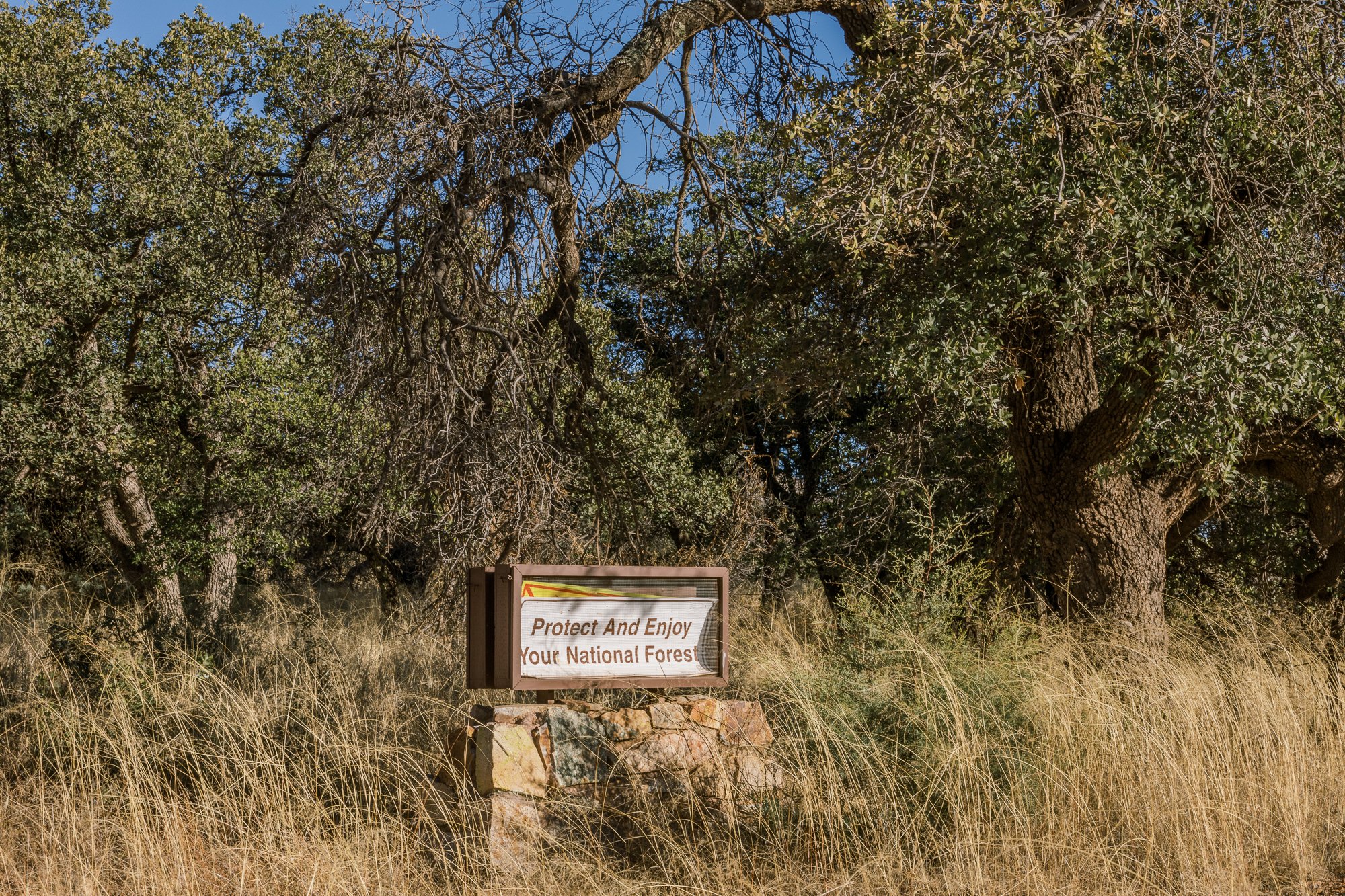 coronadonationalforest-jacquelineschossman-8.JPG