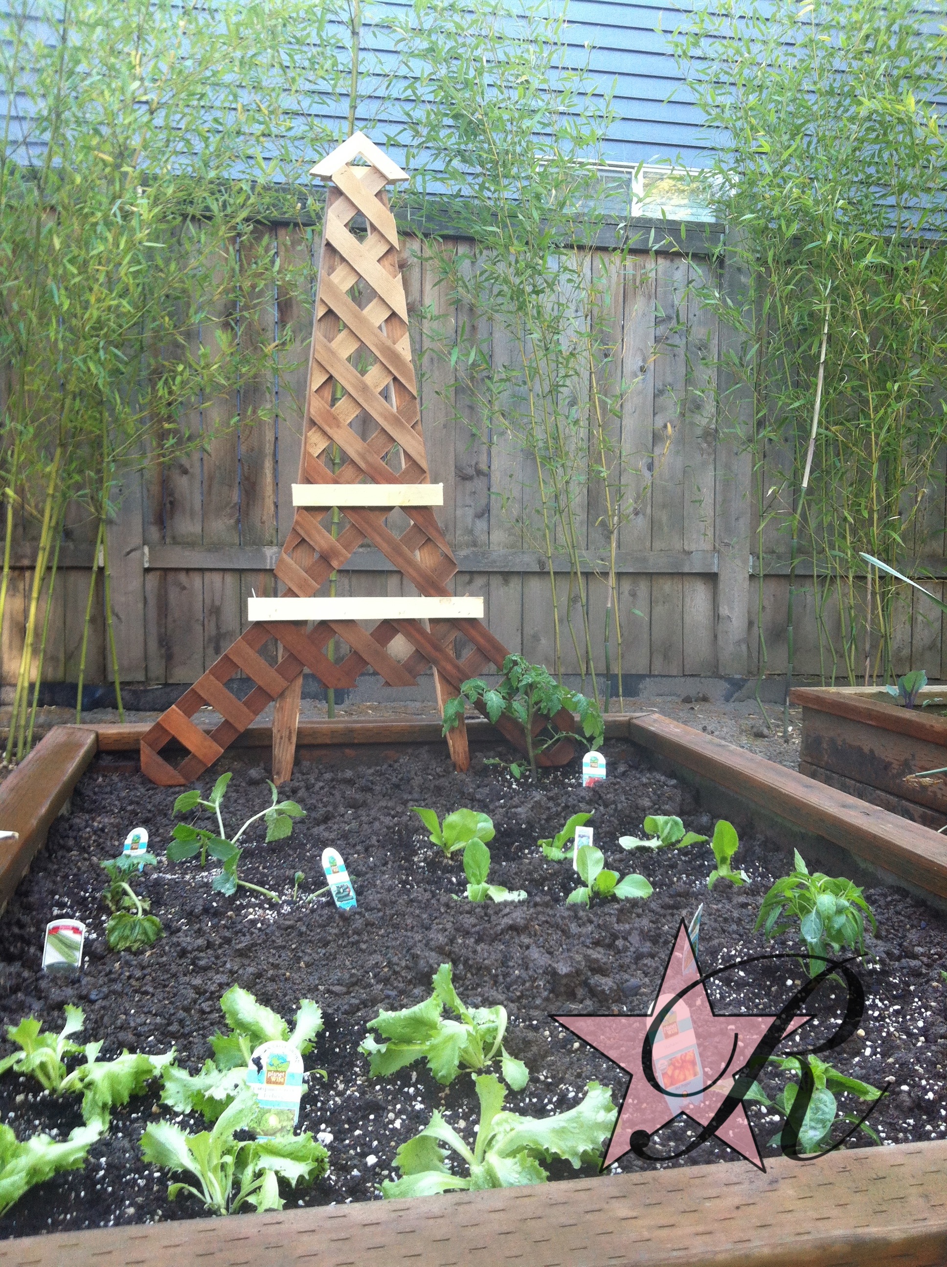 After adding lattice to an existing fence for added privacy and security, Rockstar Remodel used some of the leftover lattice to make a Eiffel Tower trellis for the tomato vines to climb.
