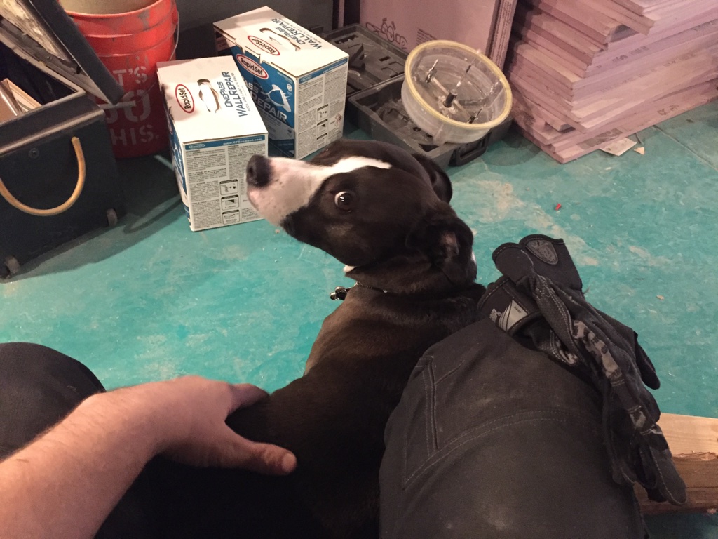 UNADJUSTEDNONRAW_thumb_371b.jpg