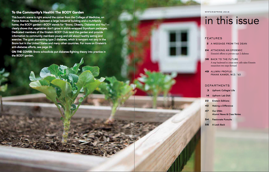 Screen Shot 2014-07-19 at 5.17.24 PM.png