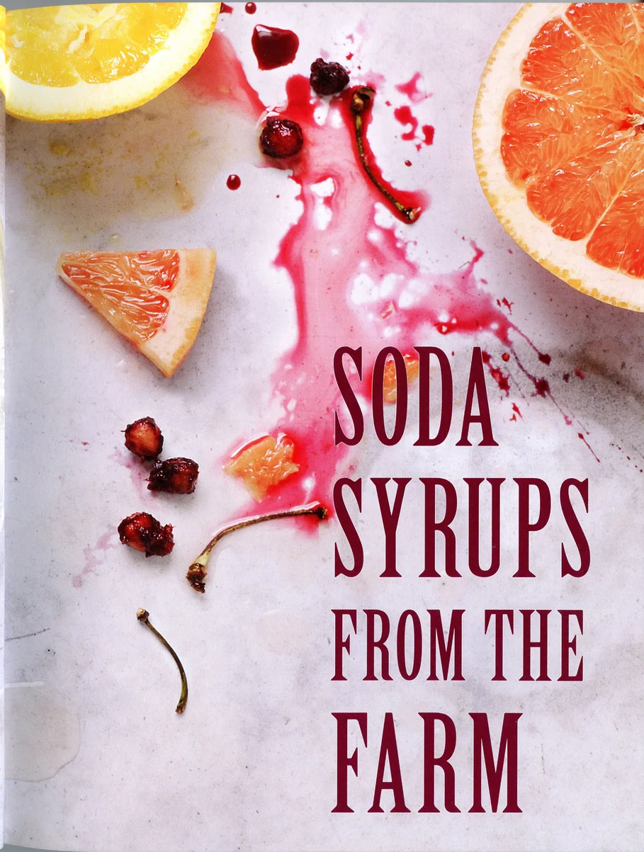 p&h soda4.jpg
