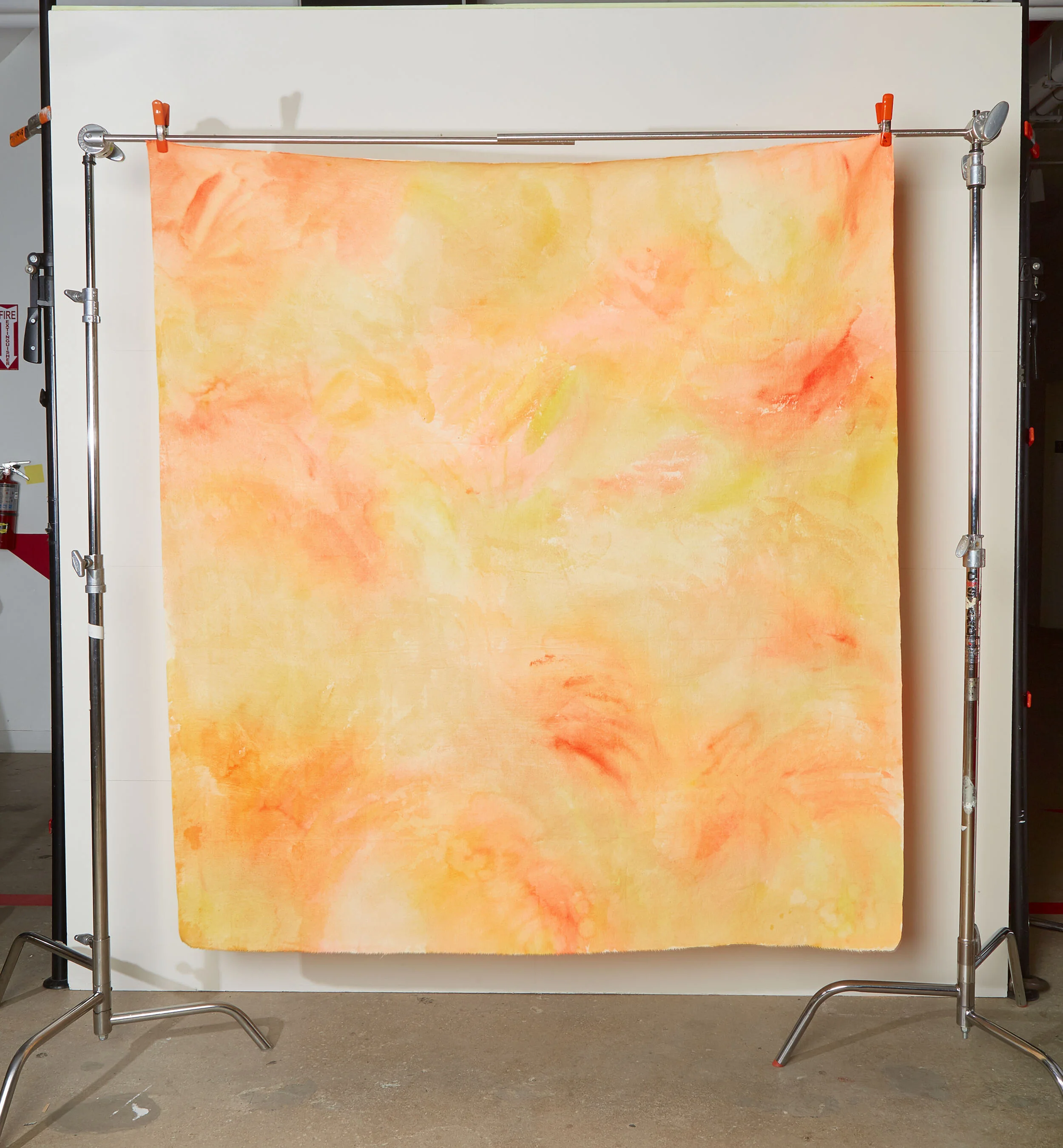 GENNABACKDROP copy.jpg