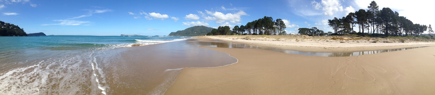 Pauanui-Beach.jpg