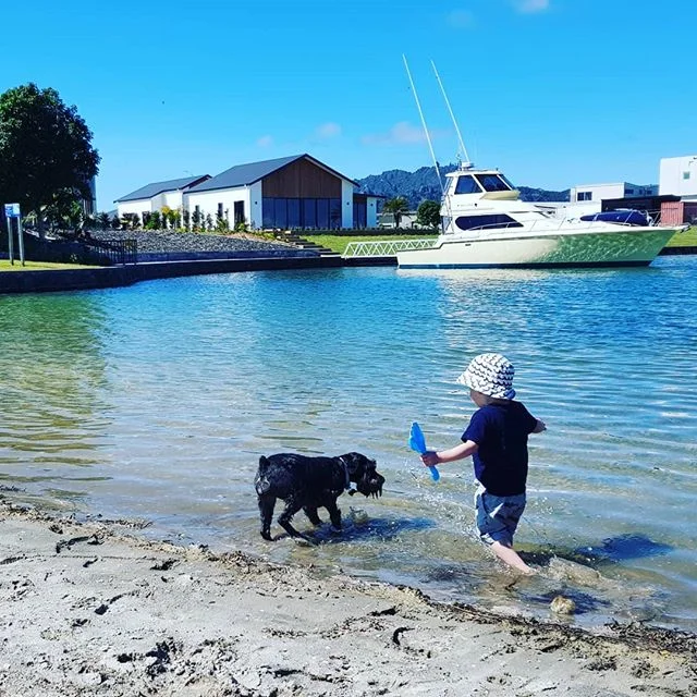 What a stunning day it was ☀️ bring on summer 💛

#marsdencove #beach #waterfront #property #nzsummer #loveithere