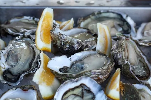 We can't wait for another festival like this in Marsden Cove!! #lovemarsdencove #northland #seafoodfestival