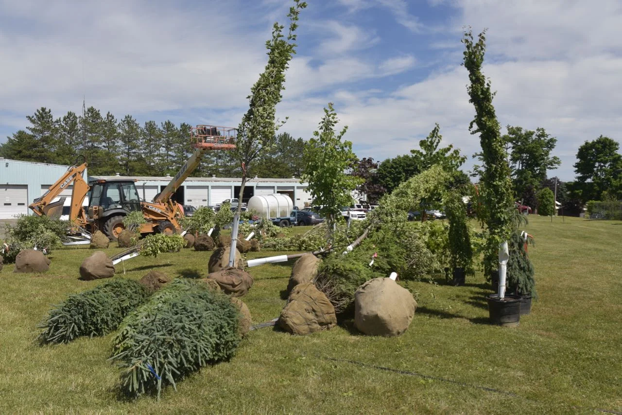The diversity of tree and shrub species at the Arboretum has increased tenfold.