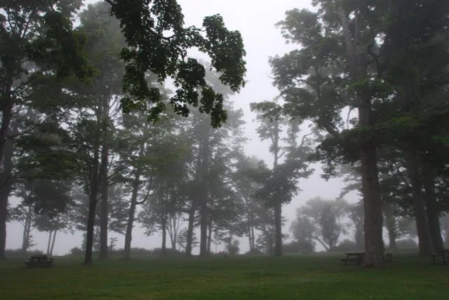 A foggy morning at Miller Park