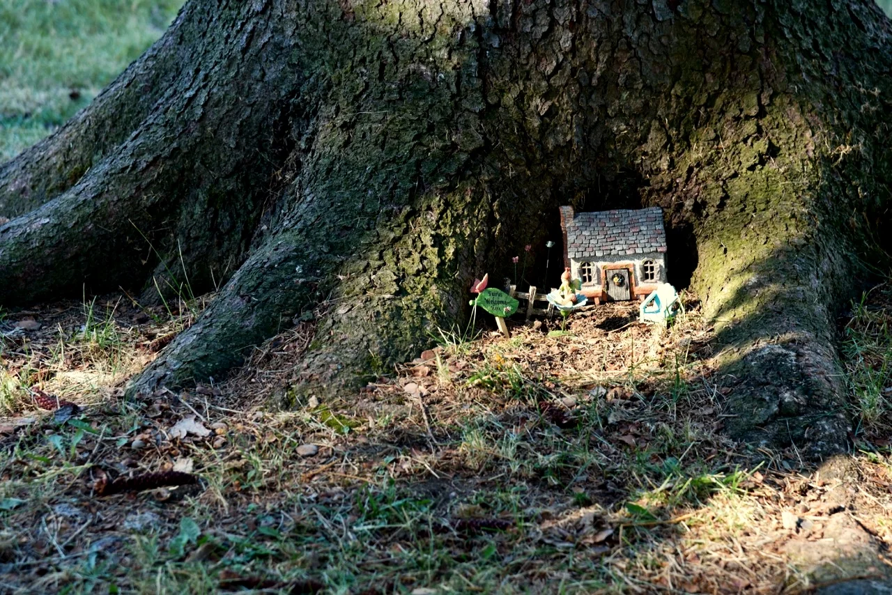 Tiny fairy houses can be found in many parks.