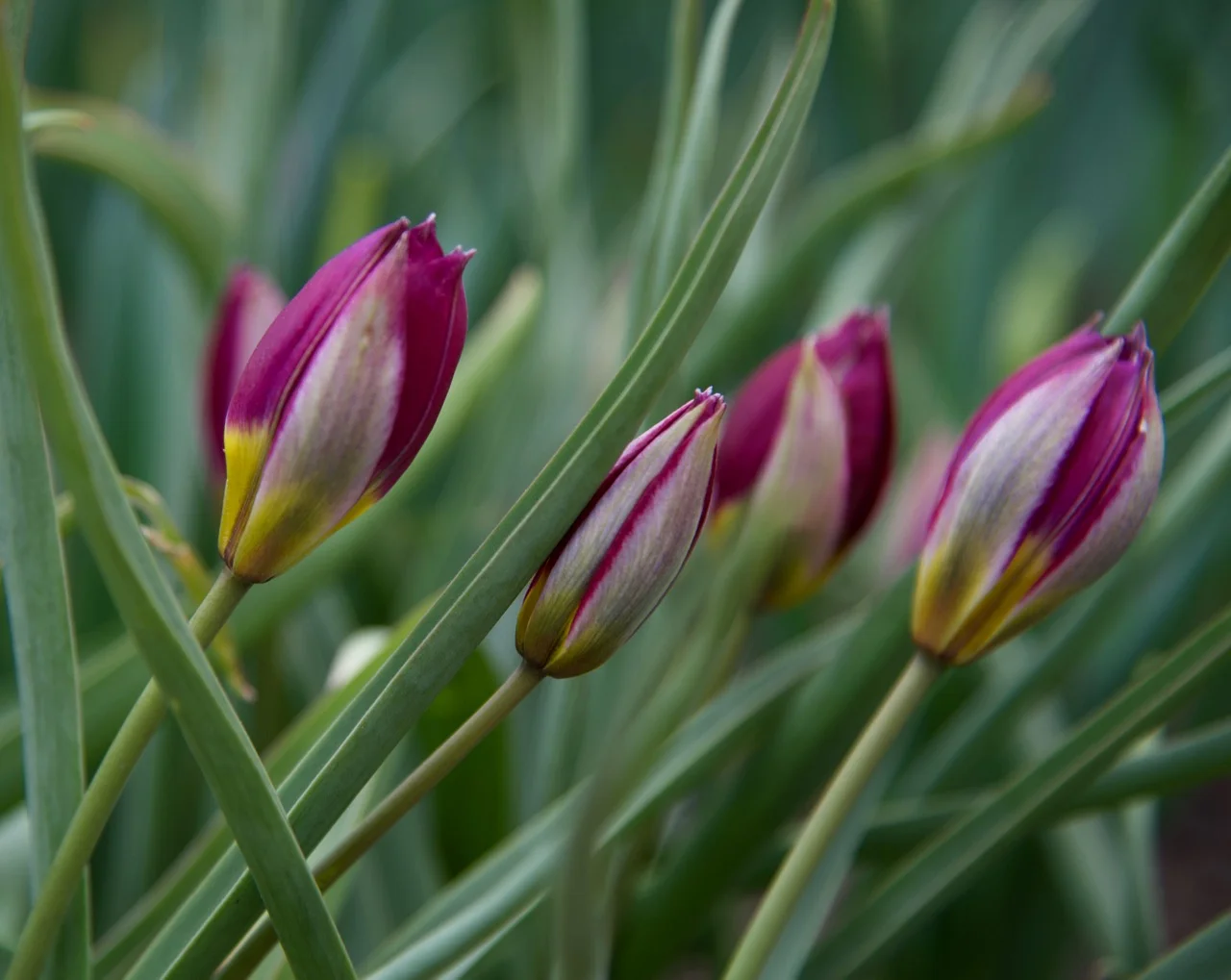 DSC_3562.jpg