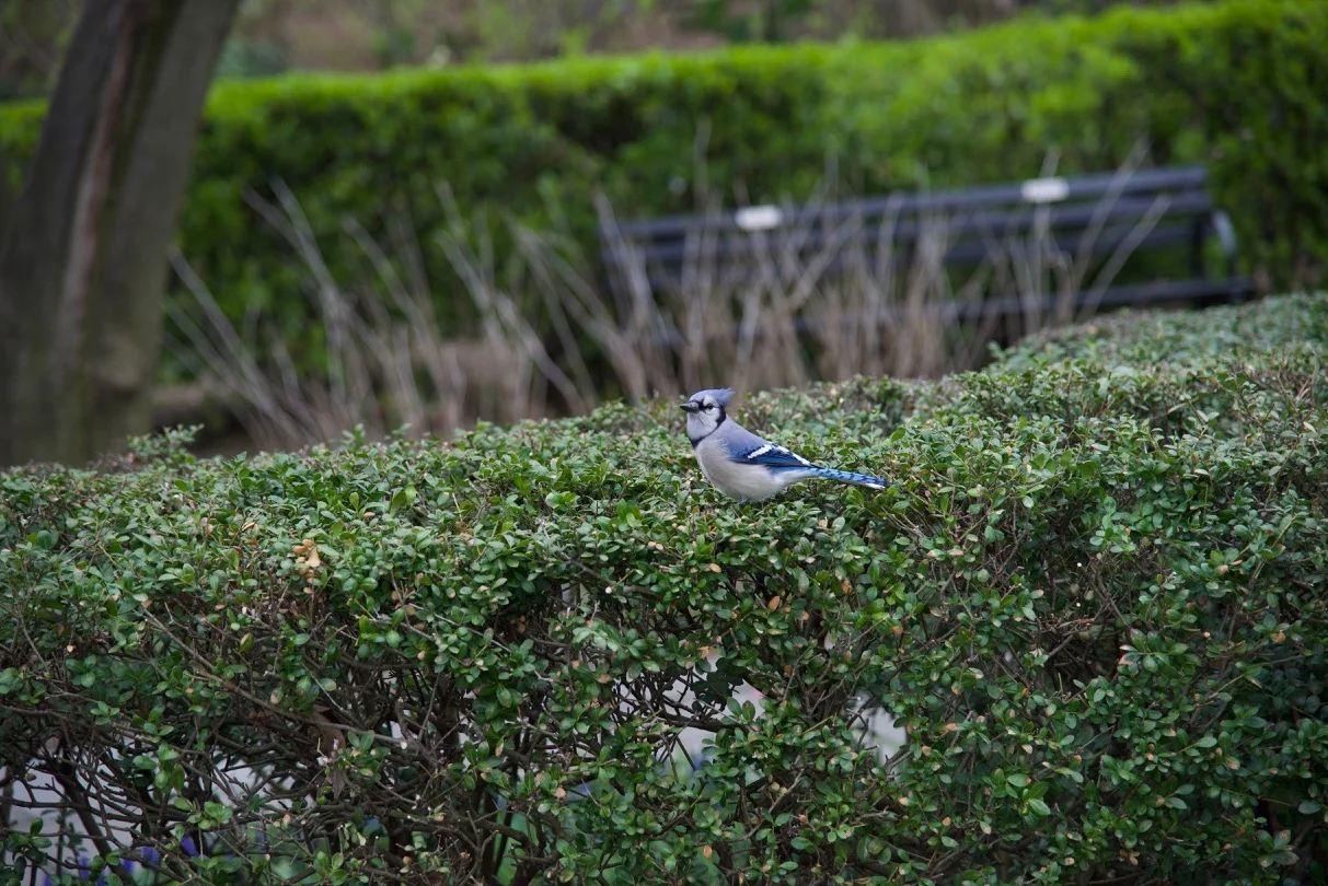 DSC_3540.jpg