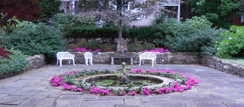 DSCN0866_banner.jpg