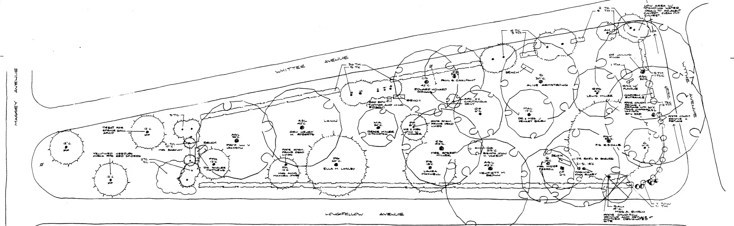 Today's tree canopy is much more diverse, the perennials mostly native and the non native invasive shrubs removed. This landscape plan is from 2011. Visit the Arboretum and see the improvement plus the addition along Massey Ave.