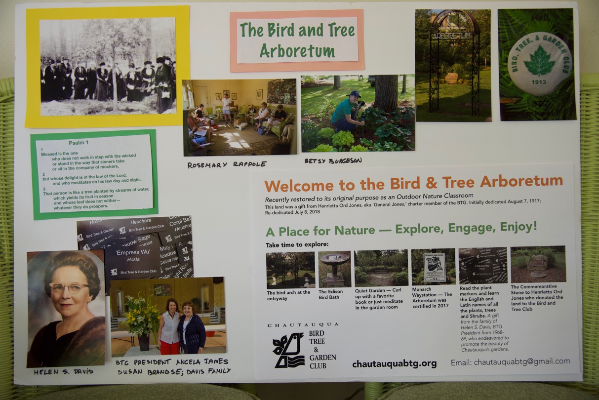 The Arboretum's 3 year restoration is revealed - diverse tree canopy, non invasive shrubs and a celebration of perennials - all with plant markers!