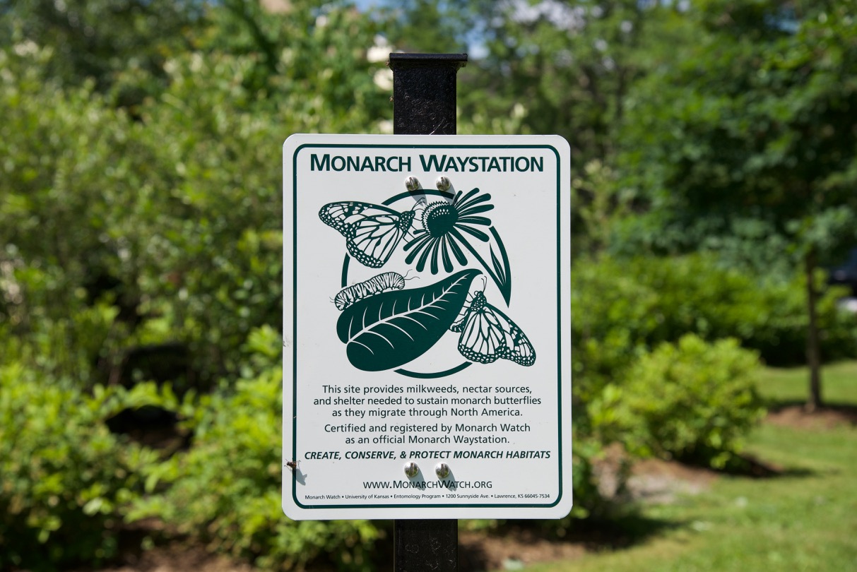 Enjoy the colorful, sustainable, eco-wise monarch habitats on grounds