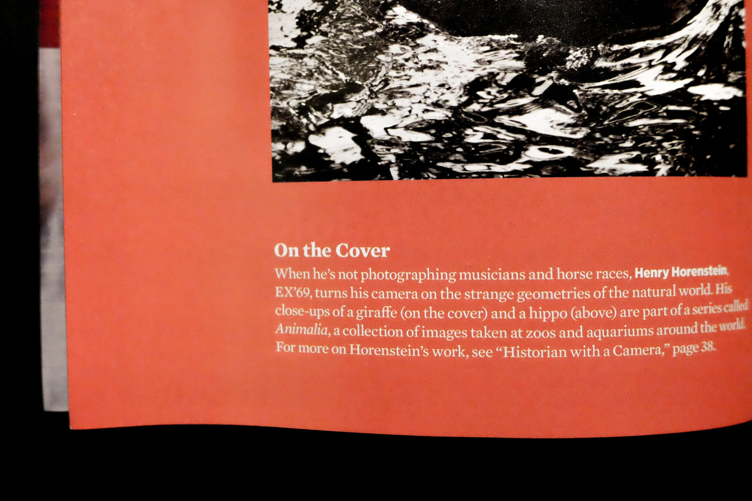 Table of contents detail