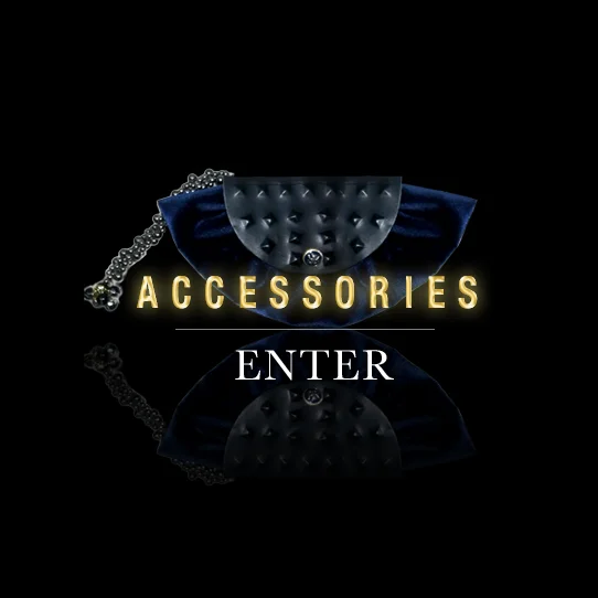 ACCESSORIES-ENTER-542x.jpg