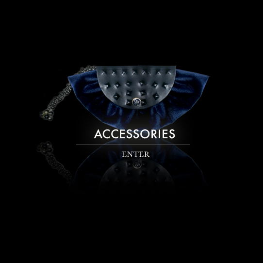 ACCESSORIES-ENTER-542x-v1.jpg
