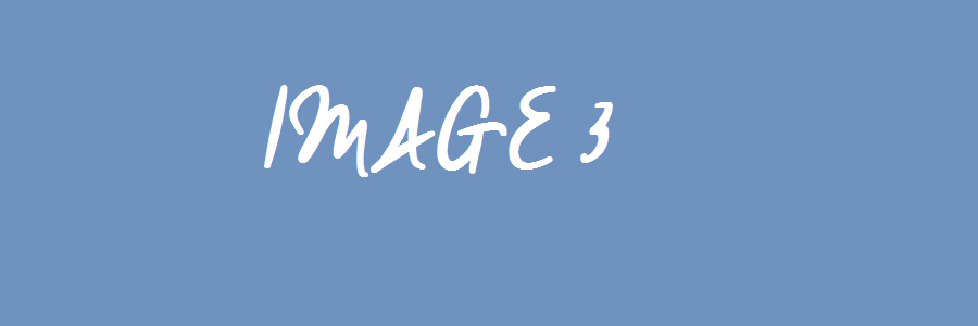 IMAGE 3.png