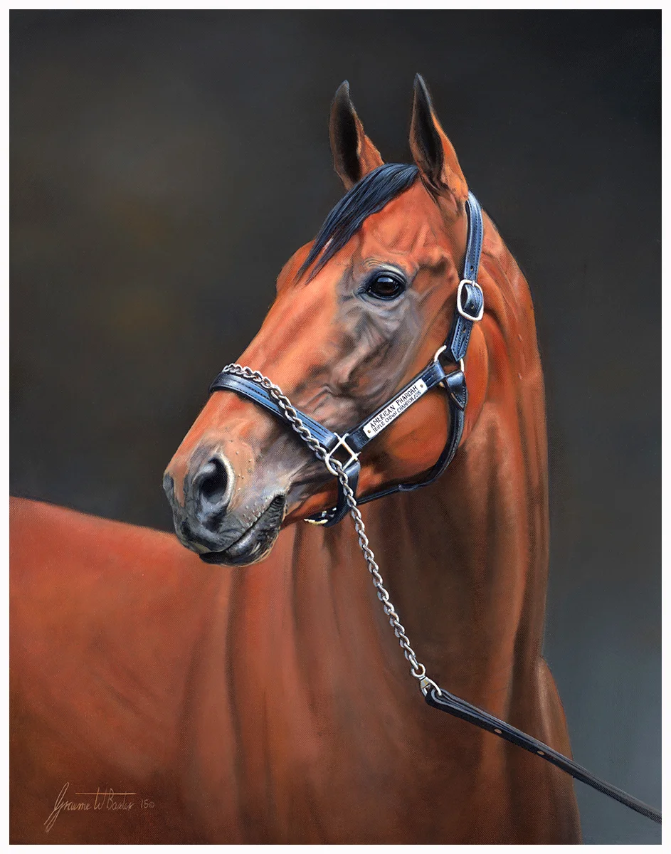 Baxter American Pharoah sml.jpg
