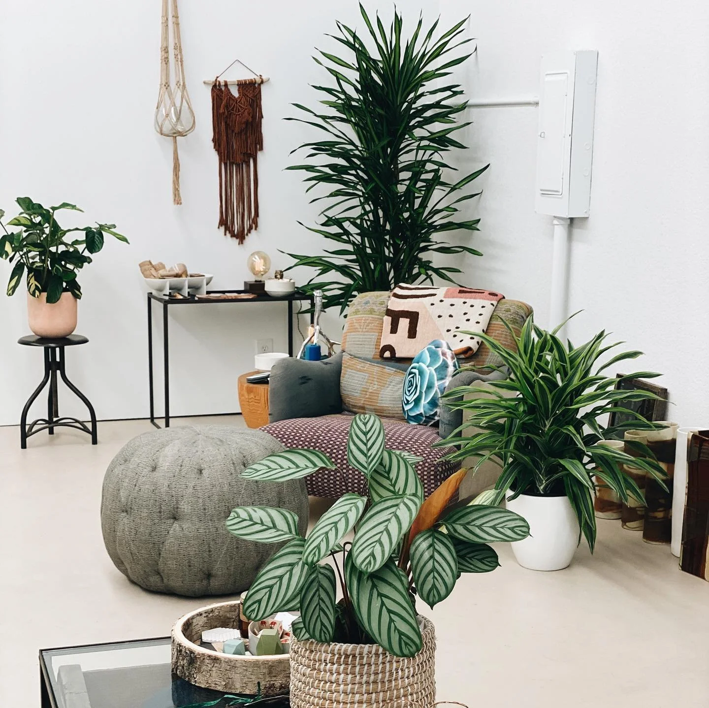 Interior Design Specialist Urban Scout By Santiago