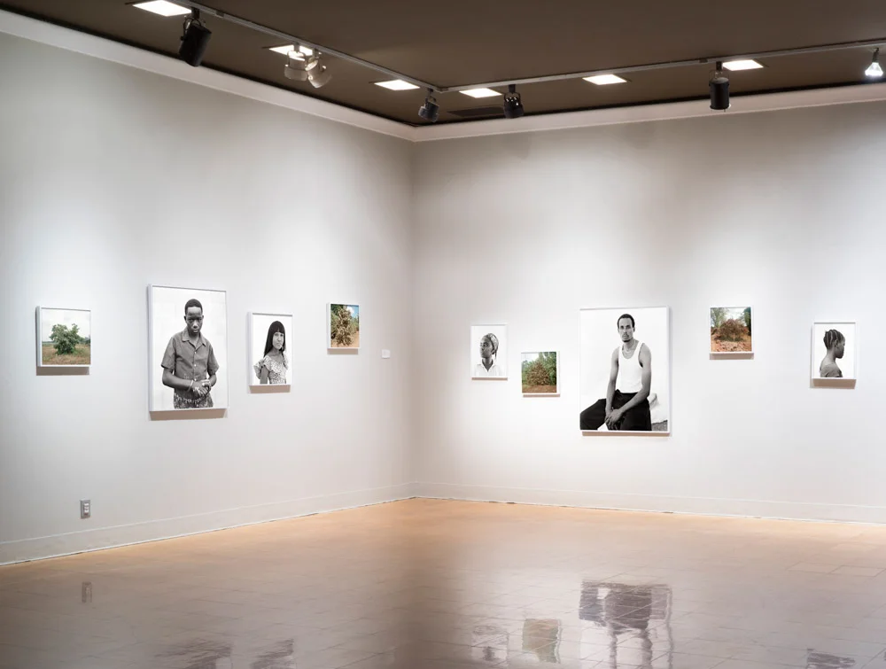 Magharibi installation view, University of Arizona Museum of Art, 2017