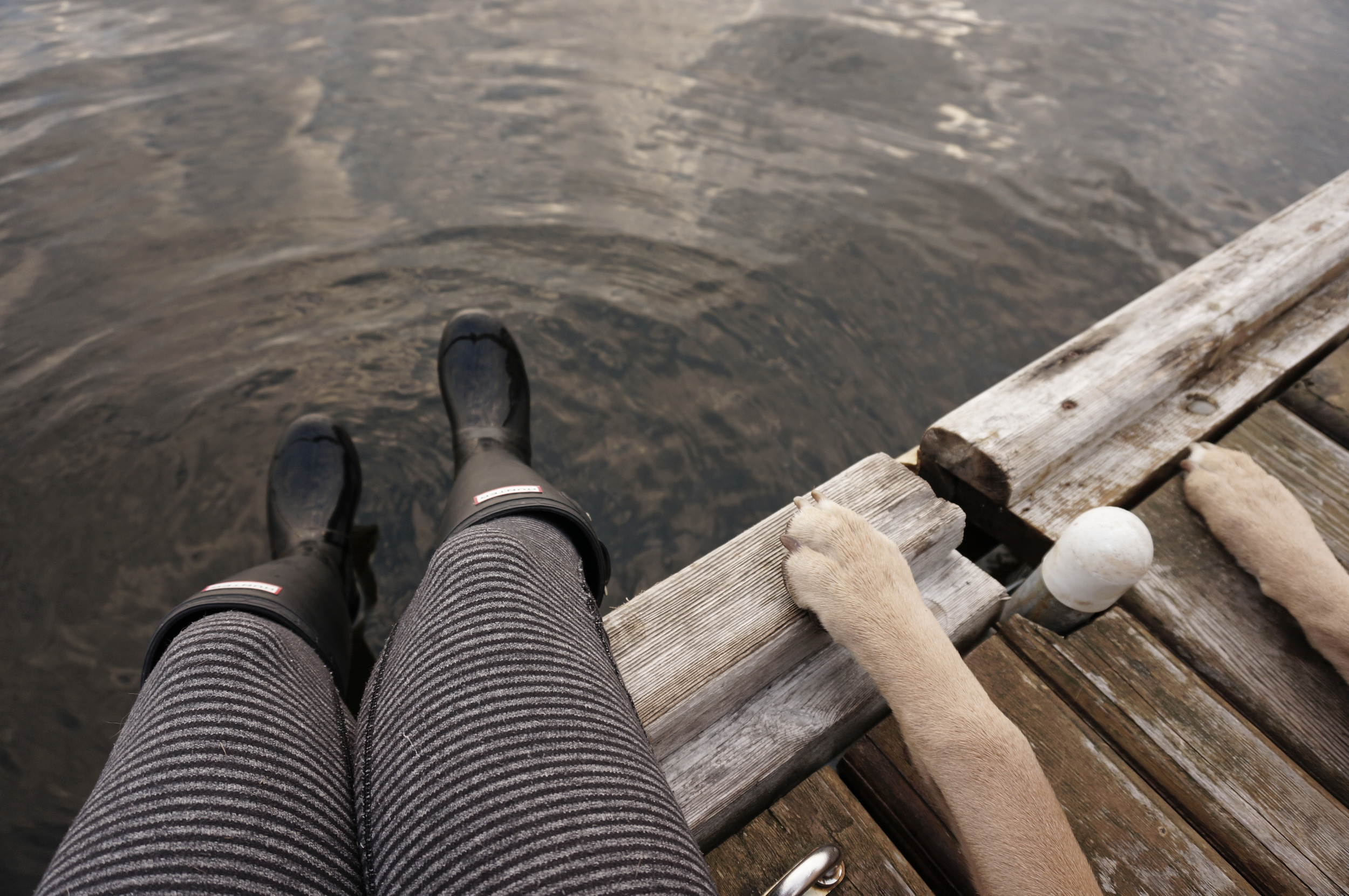 My dog and I on the dock