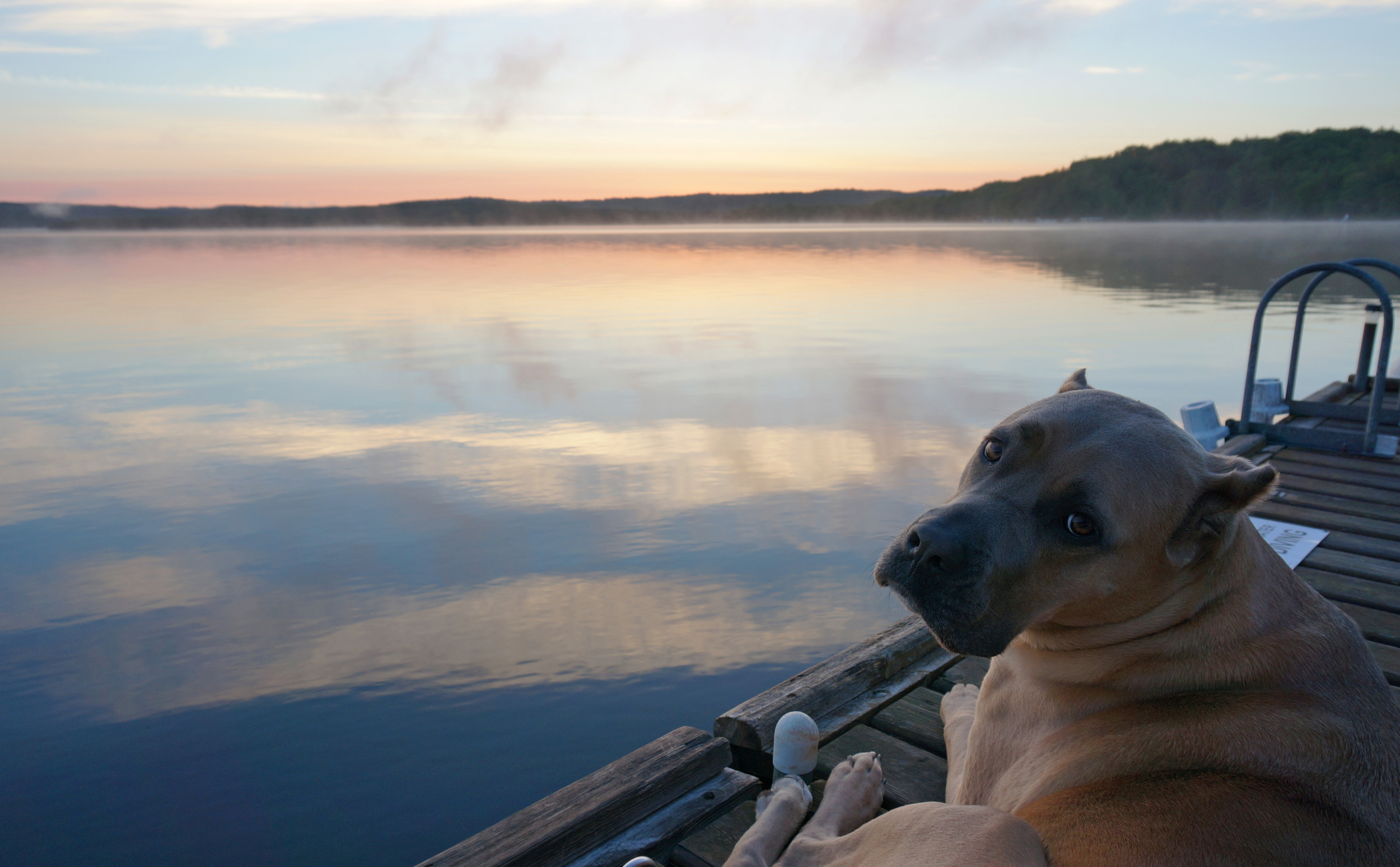 Watching the sunrise