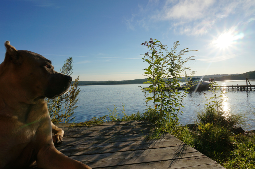 Cabin by the lake