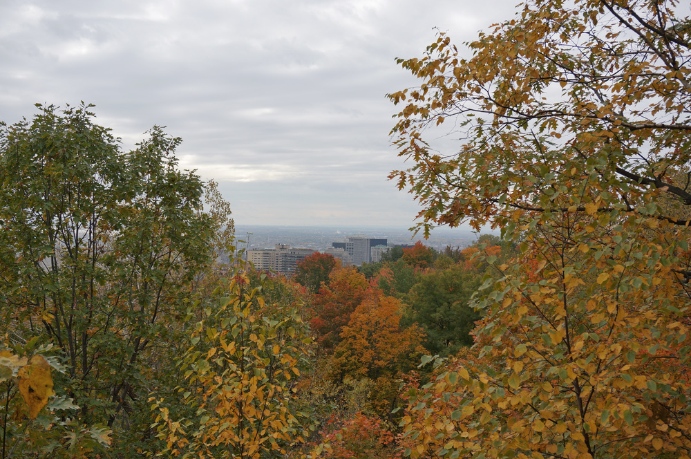 Mount Royal Park