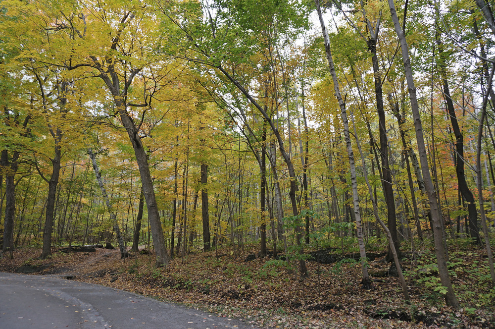 Mount Royal Park, Montreal