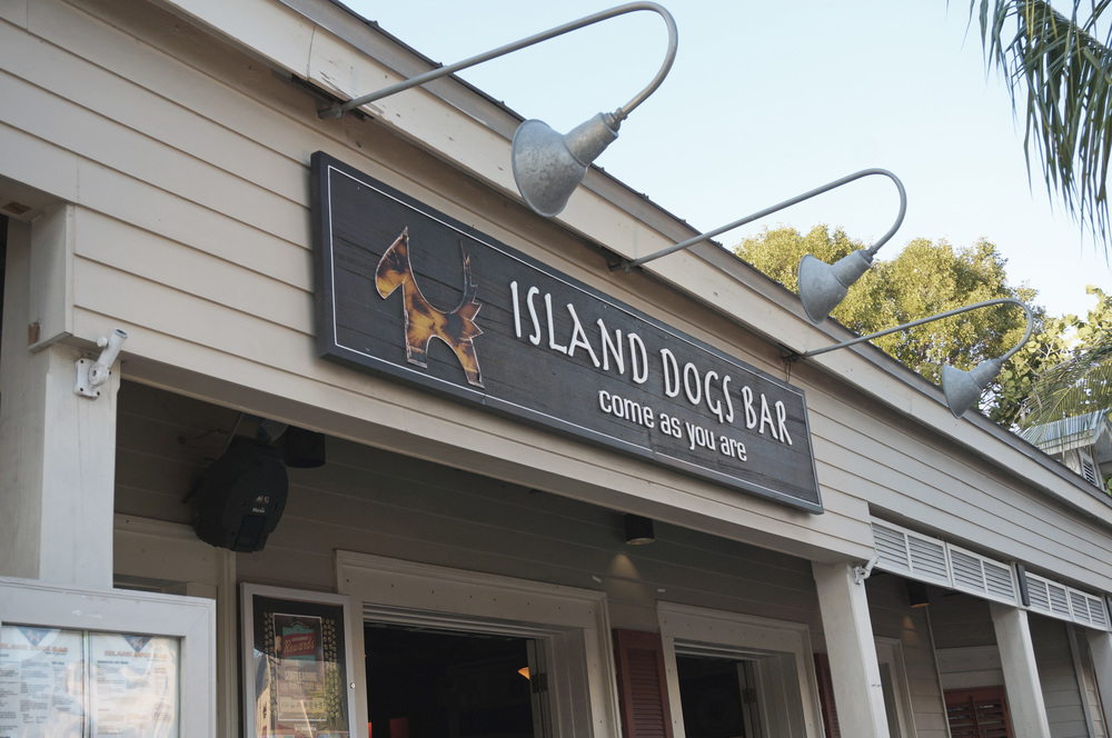 Island Dog Bar