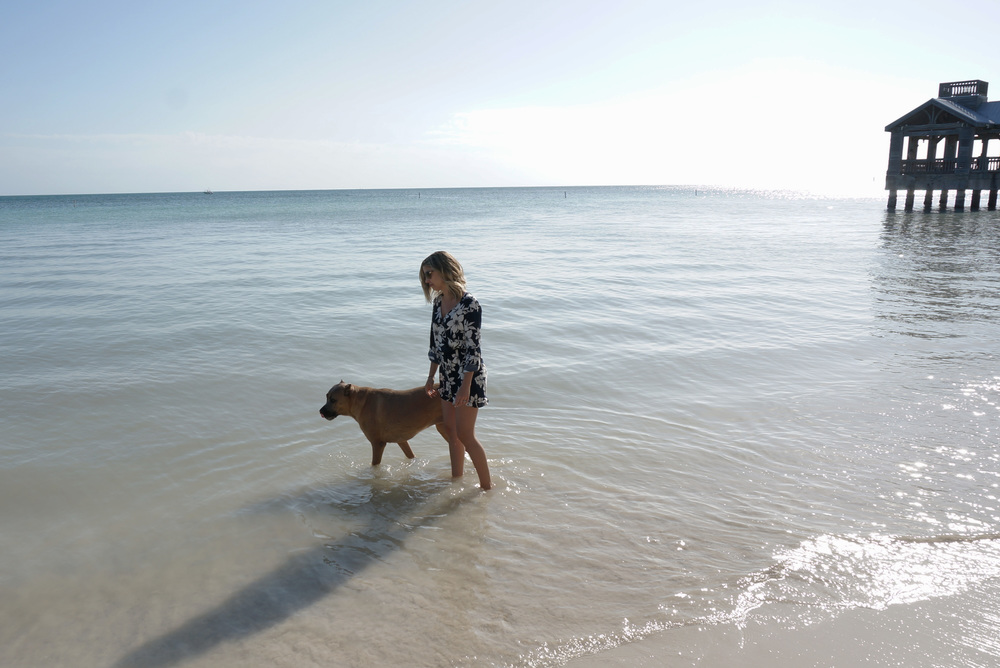 Key West Dog Beach