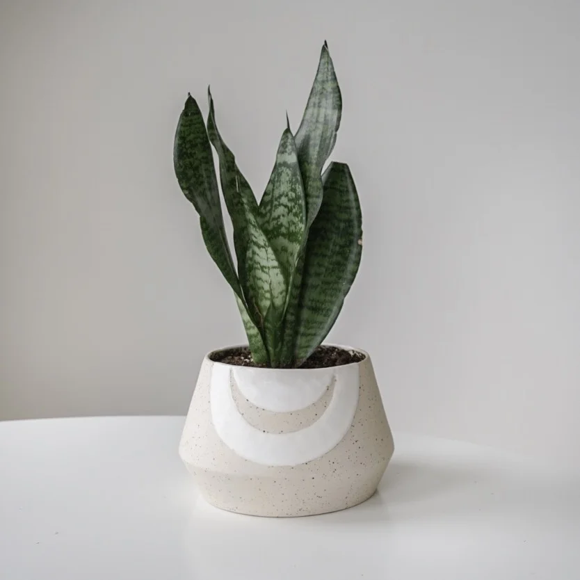 Planter Sand Speckle