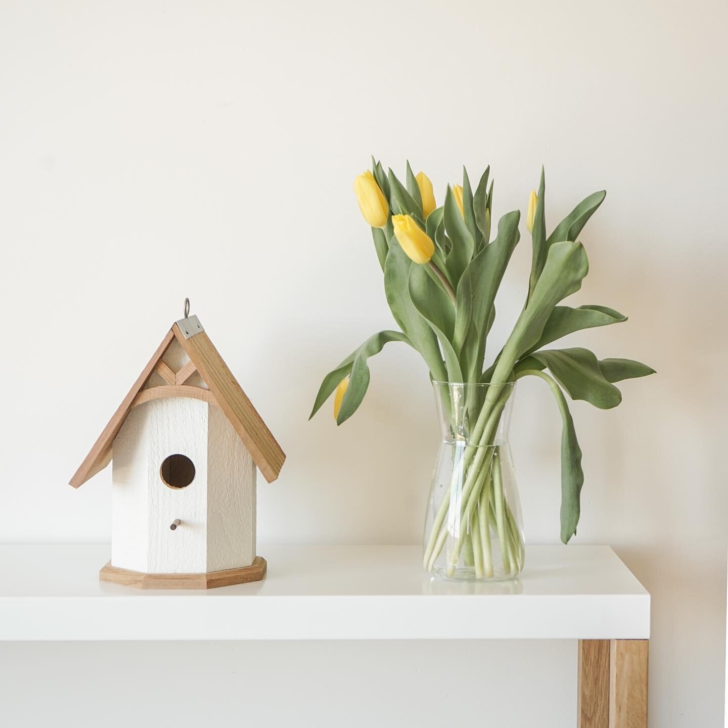 Any other bird nerds out there? 🙋&zwj;♀️ I have a few of these beautiful handmade birdhouse available online.