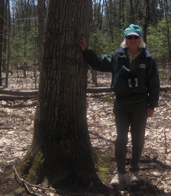 Karen Wilson Karen Wilson started fashioning words into poems a dozen years ago, amid a life hitherto devoted to land preservation in particular and environmental protection in general. She’s having more fun now. A life-long Wisconsinite who grew up in Sheboygan, she has lived for decades in Door County, where her forebears were original settlers.