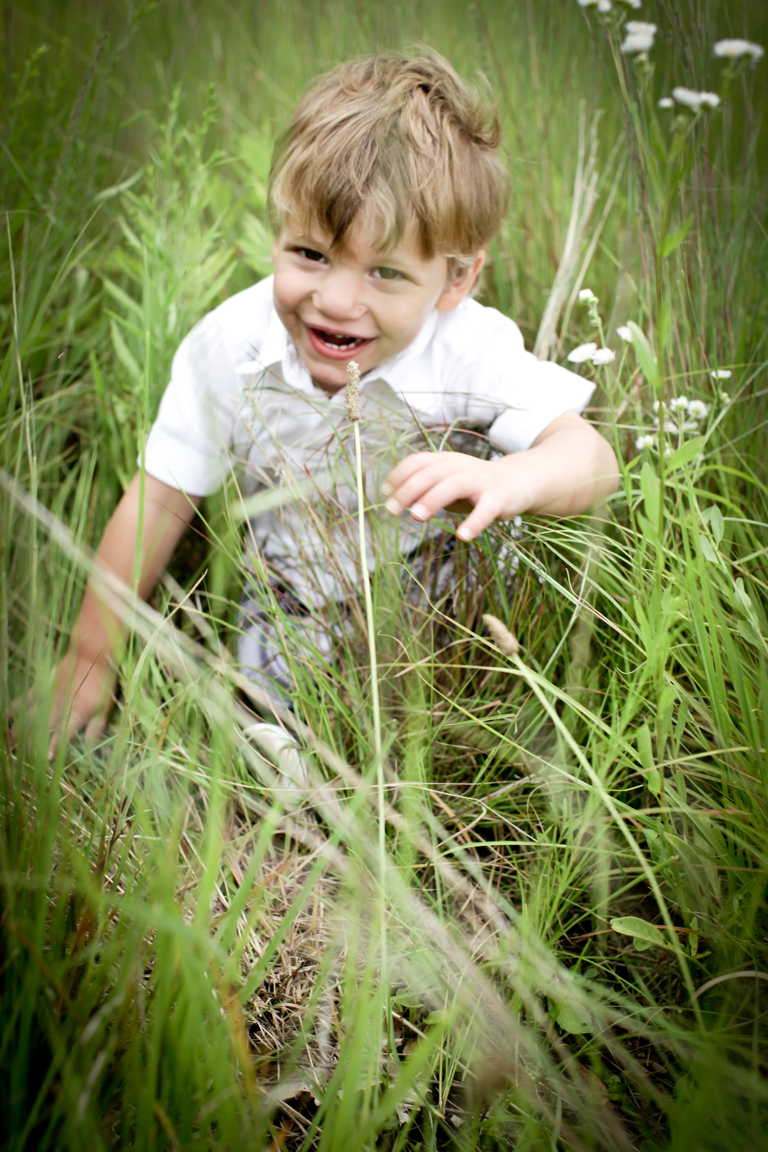 Hines Lincoln Park Zoo Family shoot blog-0005.jpg