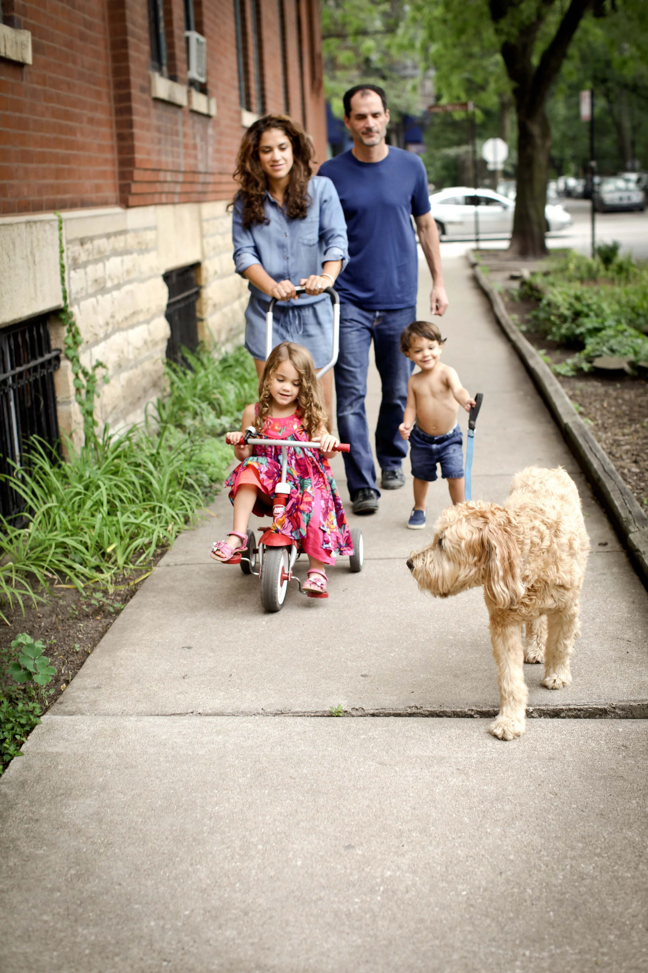 I Lane Lincoln Park Family Photo session Red Mango-0009.jpg