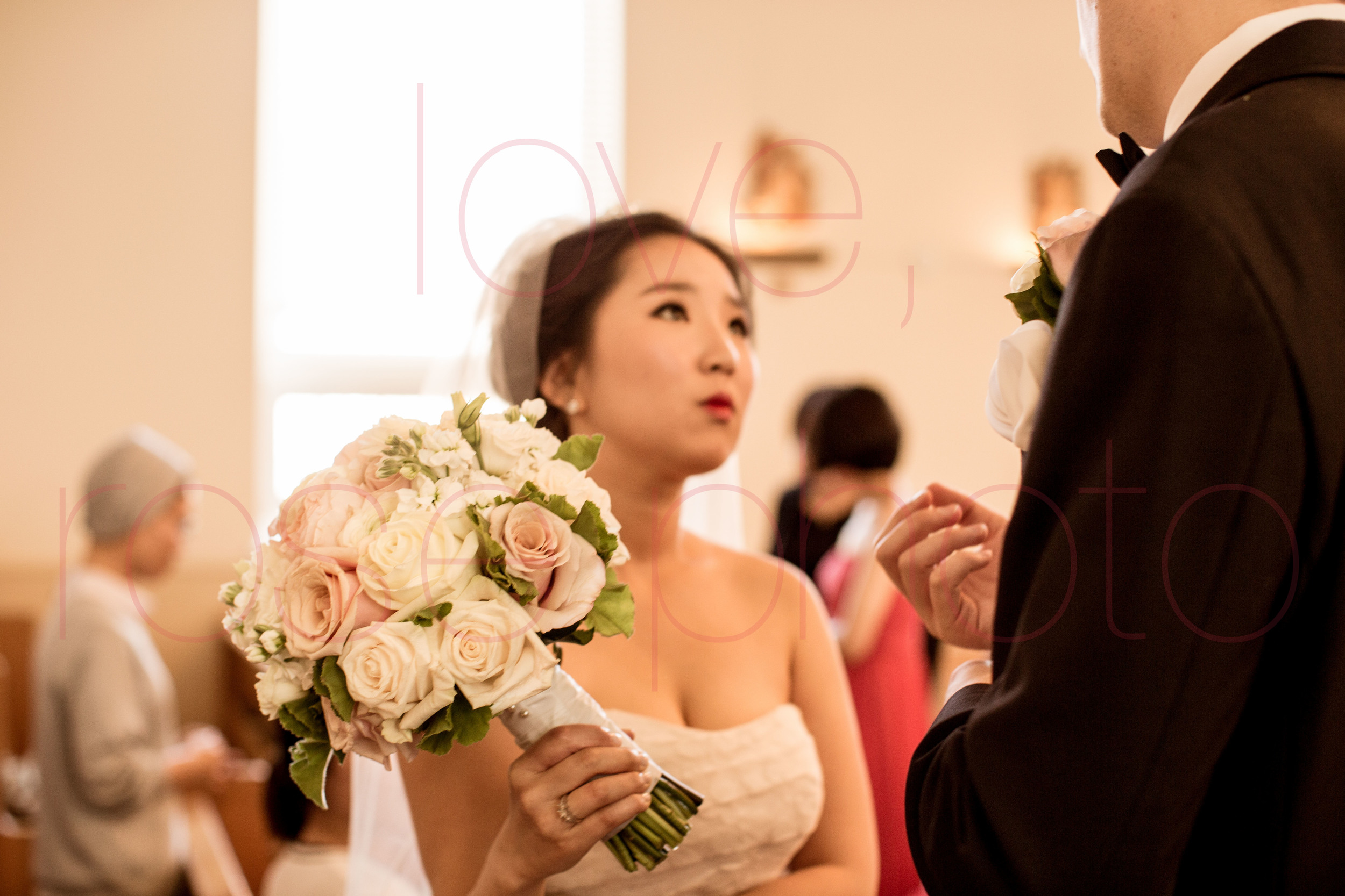 Hanvit + Lukus Lincoln Park Salvatore's Korean German Wedding portrait lifestyle photographer-009.jpg