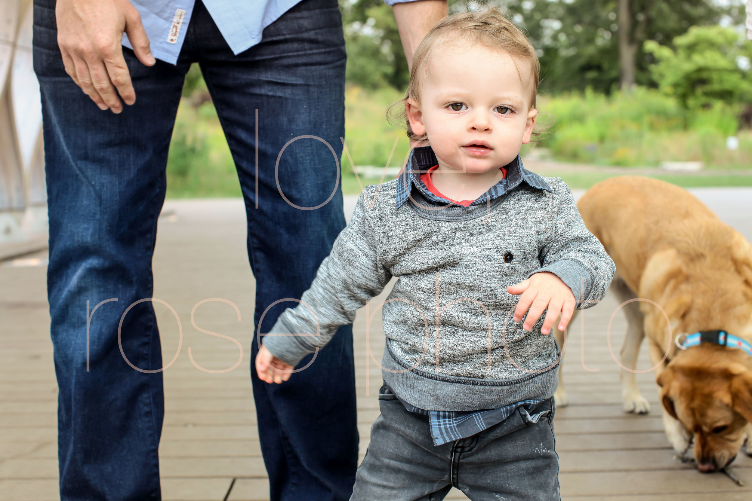 C Ensign chicago lifestyle photographic sessoin lincoln park kids portrait photographer gap kids-004.jpg