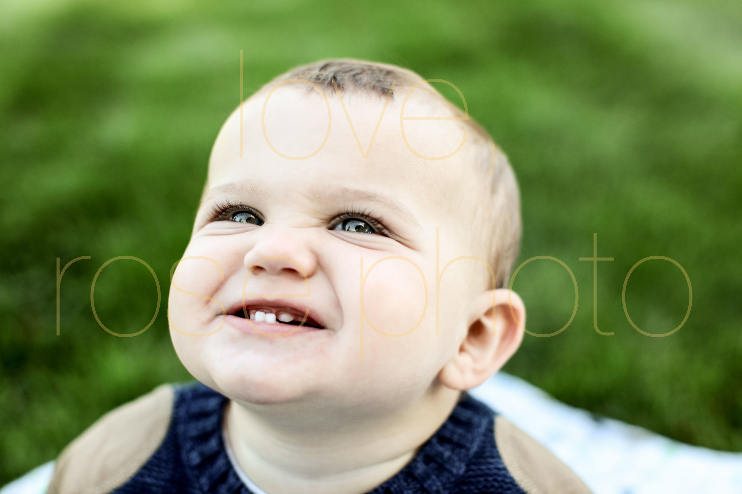 Usher Park Chicago Childrens Photographer family photos northwest suburbs -002.jpg