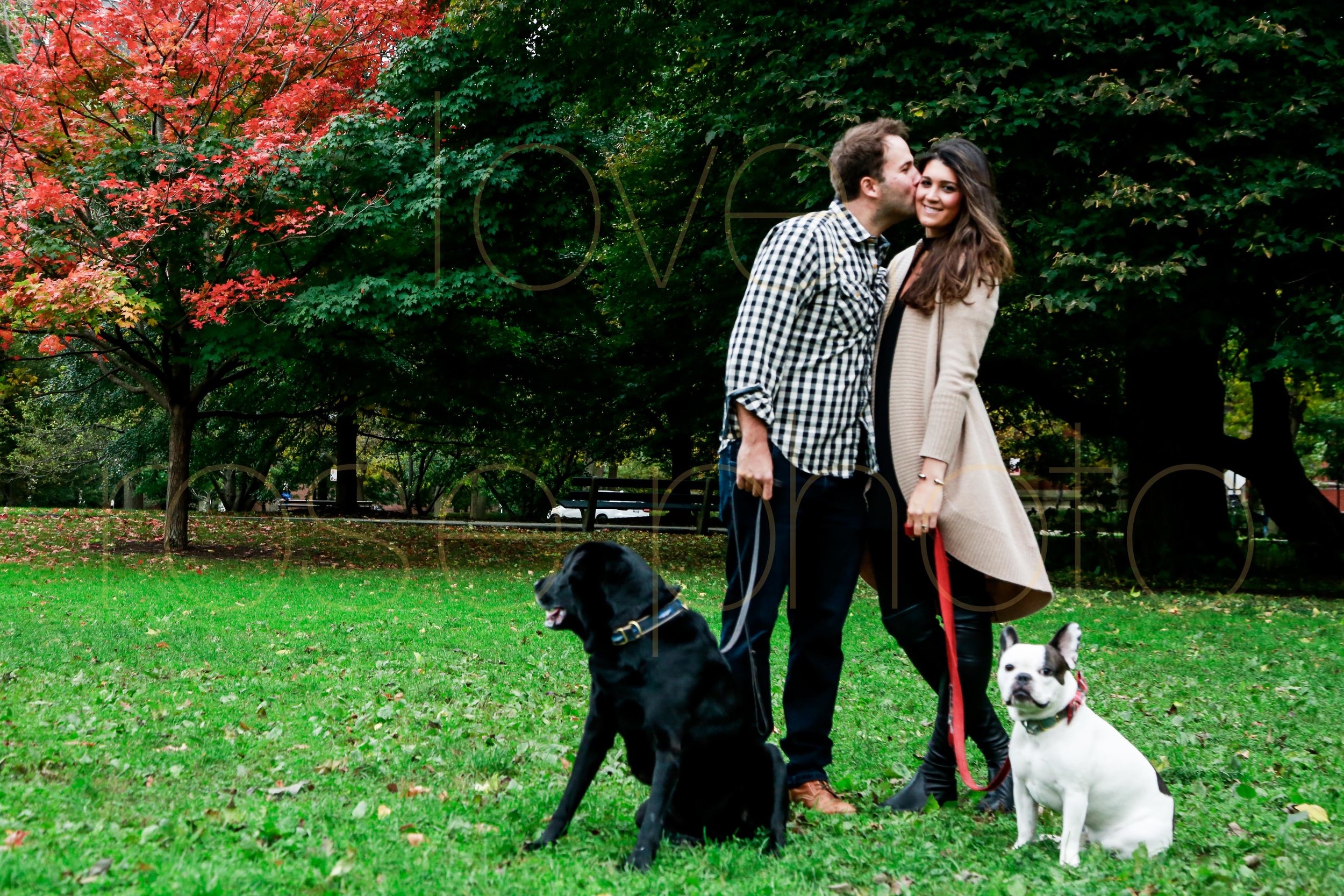 Sara + Milos Rose Photo Custom Engagment shoot blog best wedding photographer chicago-10.jpg