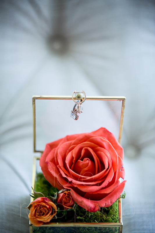 asheville wedding photographer best of the knot bride style rose photos social media share-10.jpg