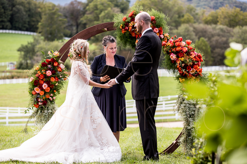 asheville wedding photographer best of the knot bride style rose photos social media share-41.jpg