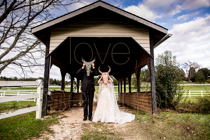 asheville wedding photographer best of the knot bride style rose photos social media share-44.jpg