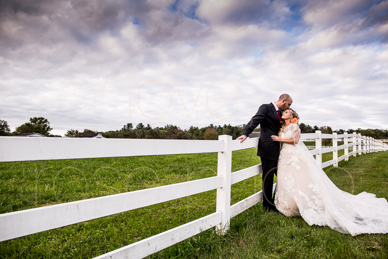asheville wedding photographer best of the knot bride style rose photos social media share-45.jpg